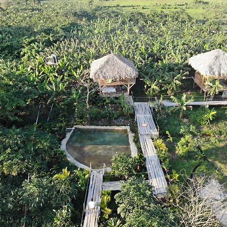 Samana Ecolodge El Limon エクステリア 写真