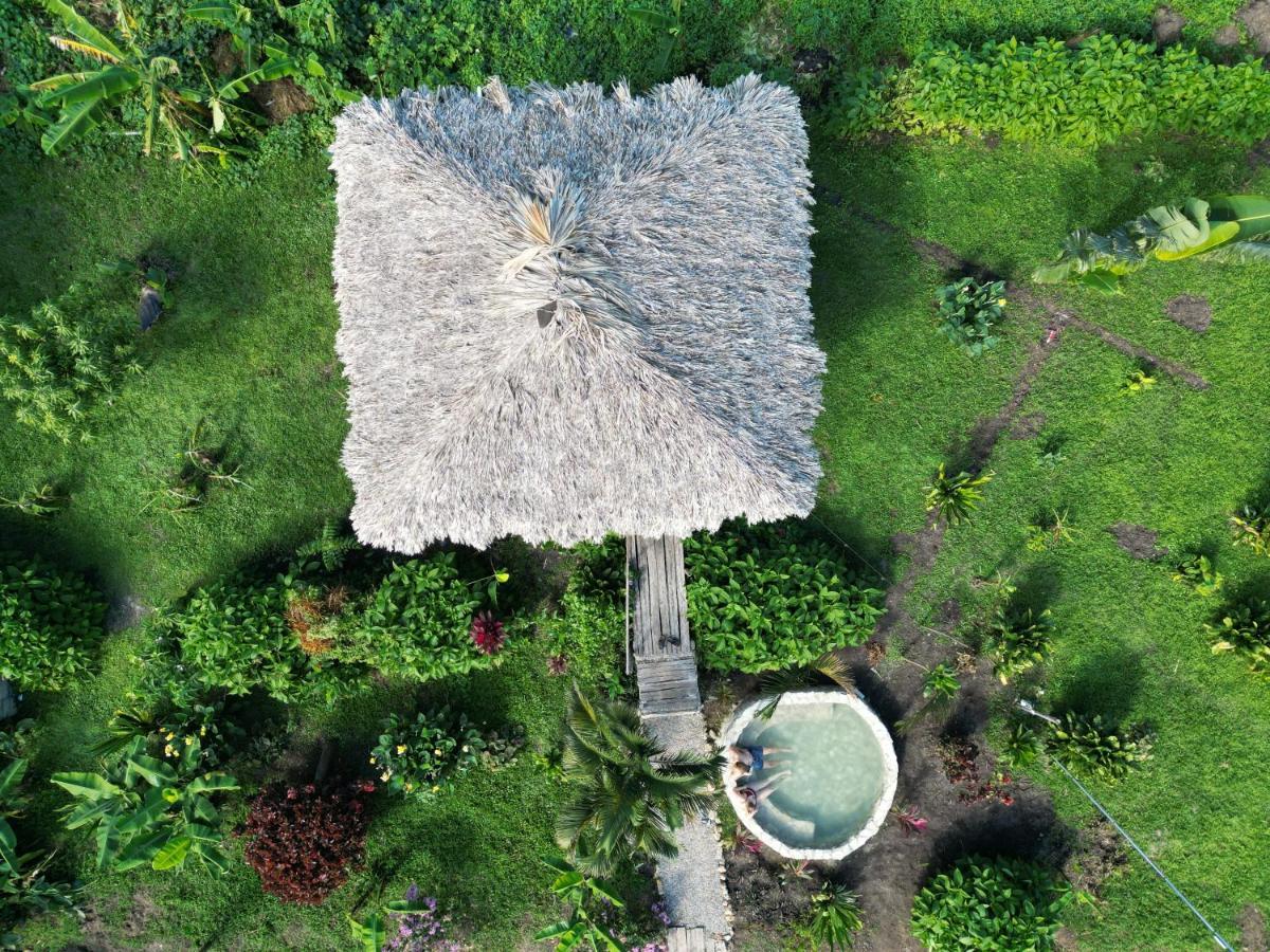 Samana Ecolodge El Limon エクステリア 写真