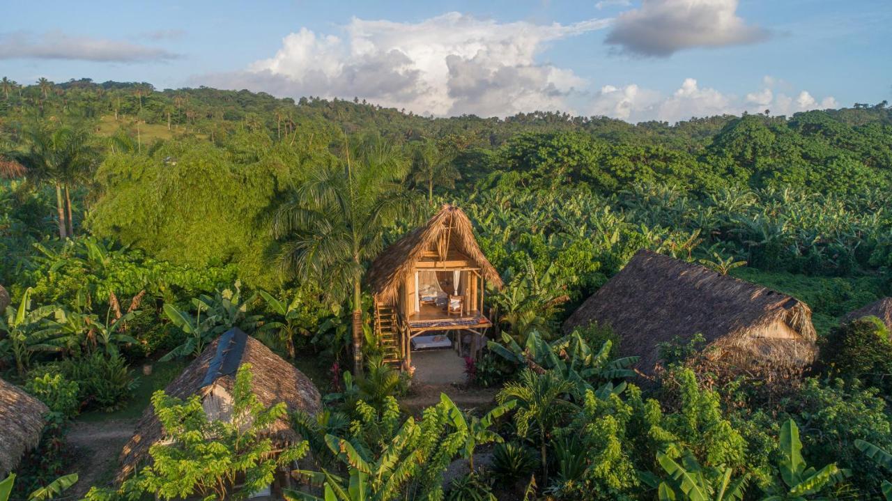 Samana Ecolodge El Limon エクステリア 写真