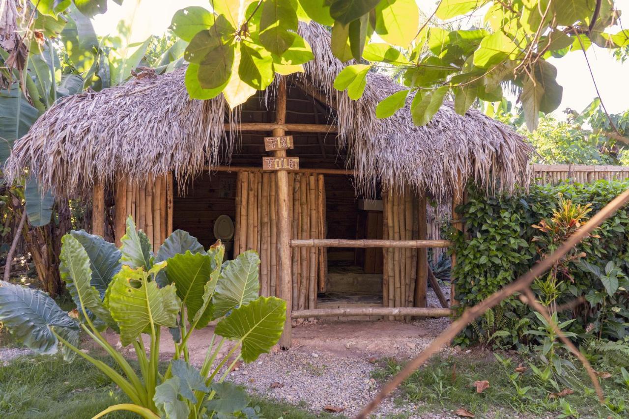Samana Ecolodge El Limon エクステリア 写真