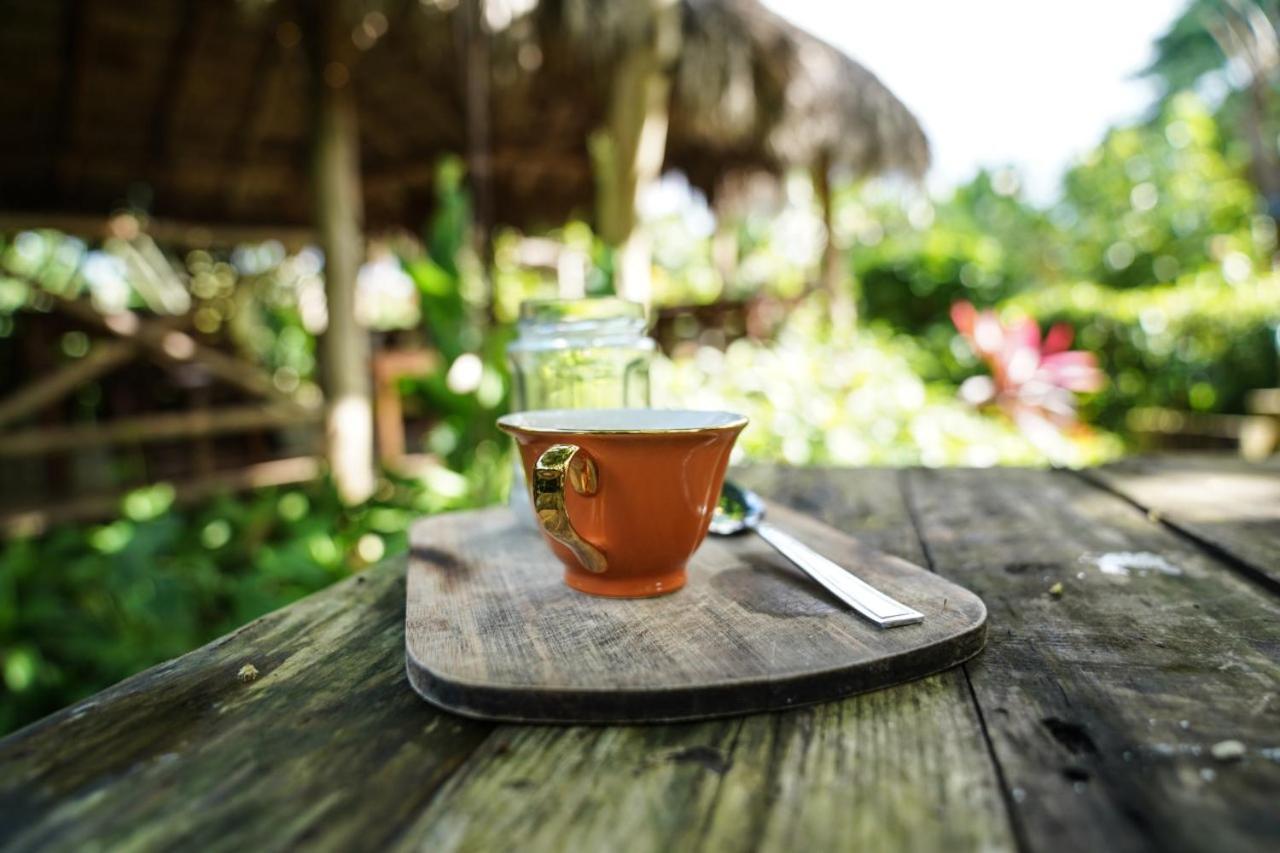 Samana Ecolodge El Limon エクステリア 写真