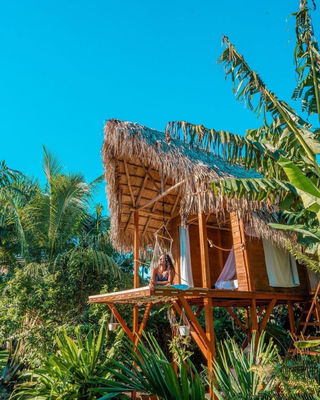 Samana Ecolodge El Limon エクステリア 写真