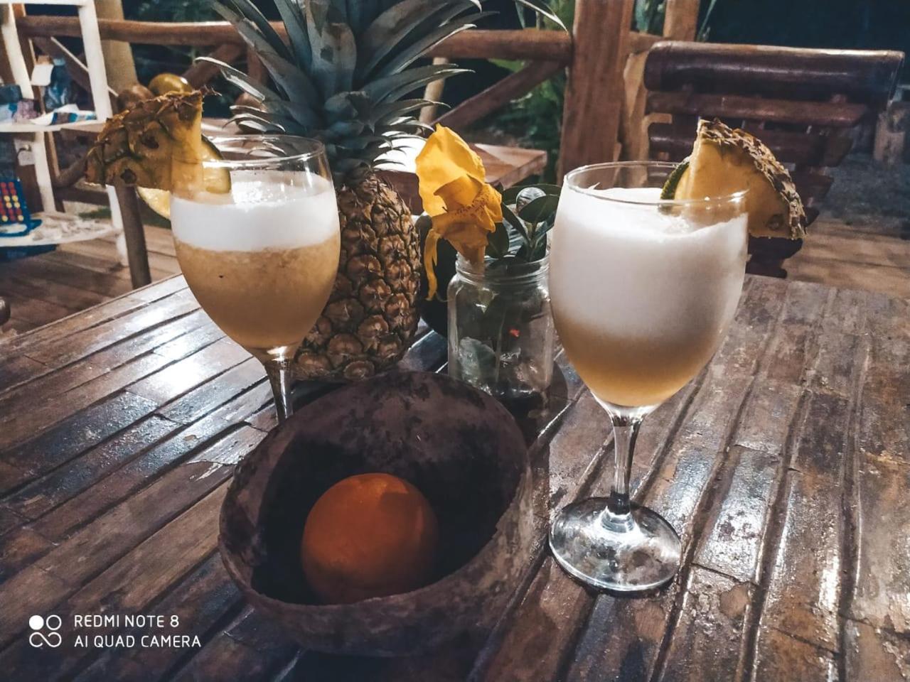 Samana Ecolodge El Limon エクステリア 写真