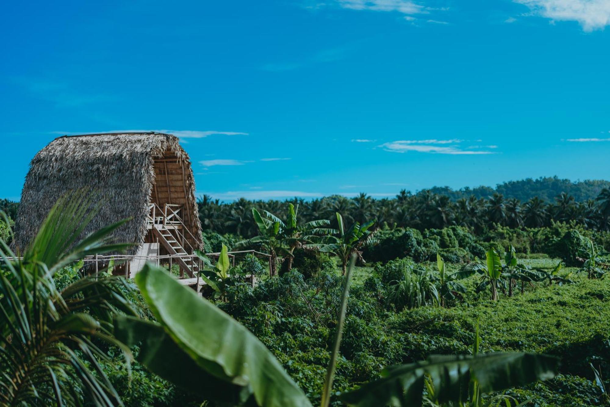 Samana Ecolodge El Limon エクステリア 写真