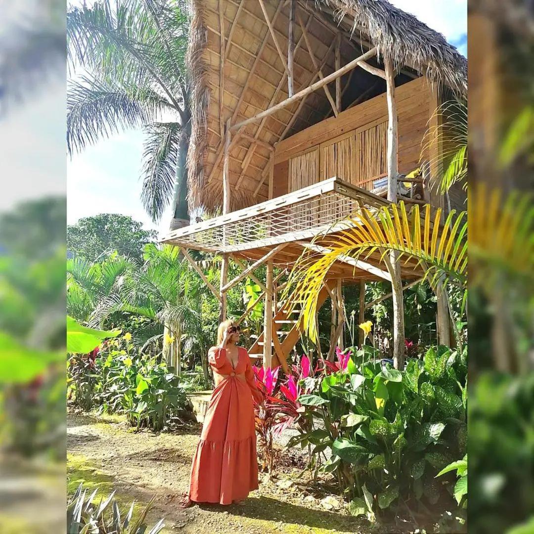 Samana Ecolodge El Limon エクステリア 写真