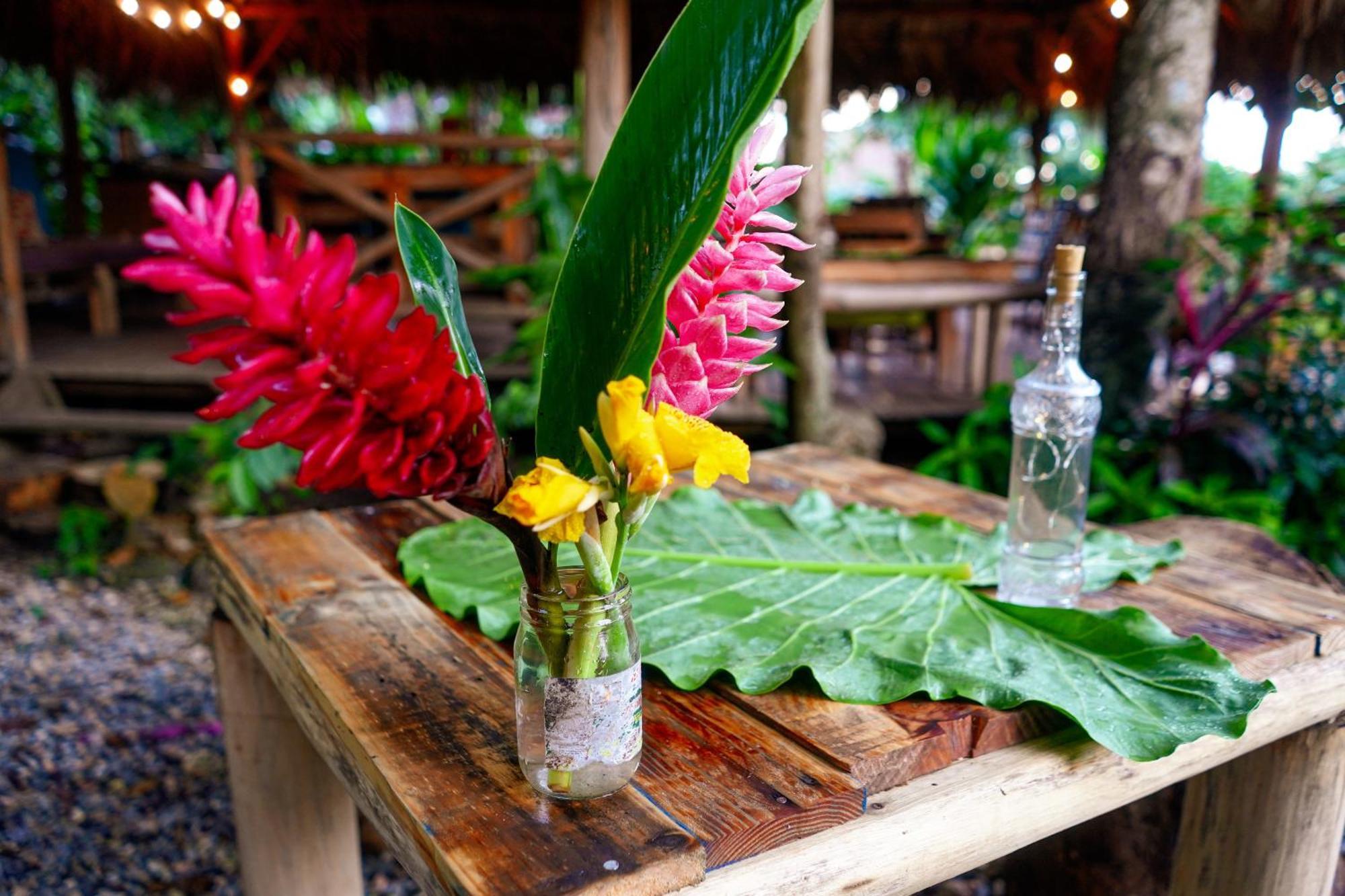 Samana Ecolodge El Limon エクステリア 写真