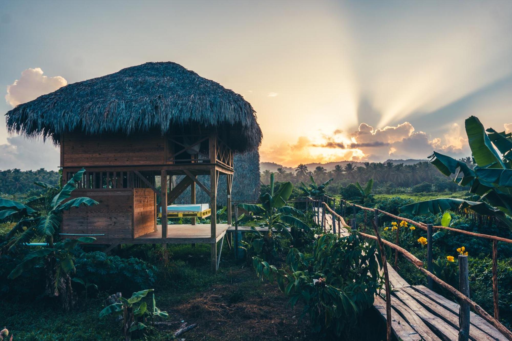 Samana Ecolodge El Limon エクステリア 写真
